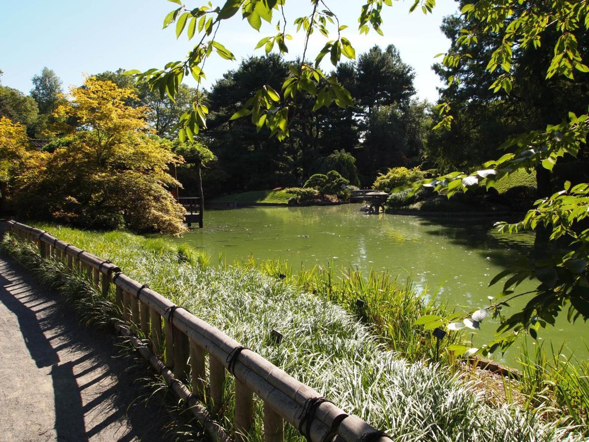 Prospect Park Apartment New York Dış mekan fotoğraf